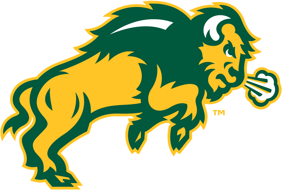 North Dakota State Bison 2012-Pres Secondary Logo iron on transfers for T-shirts
